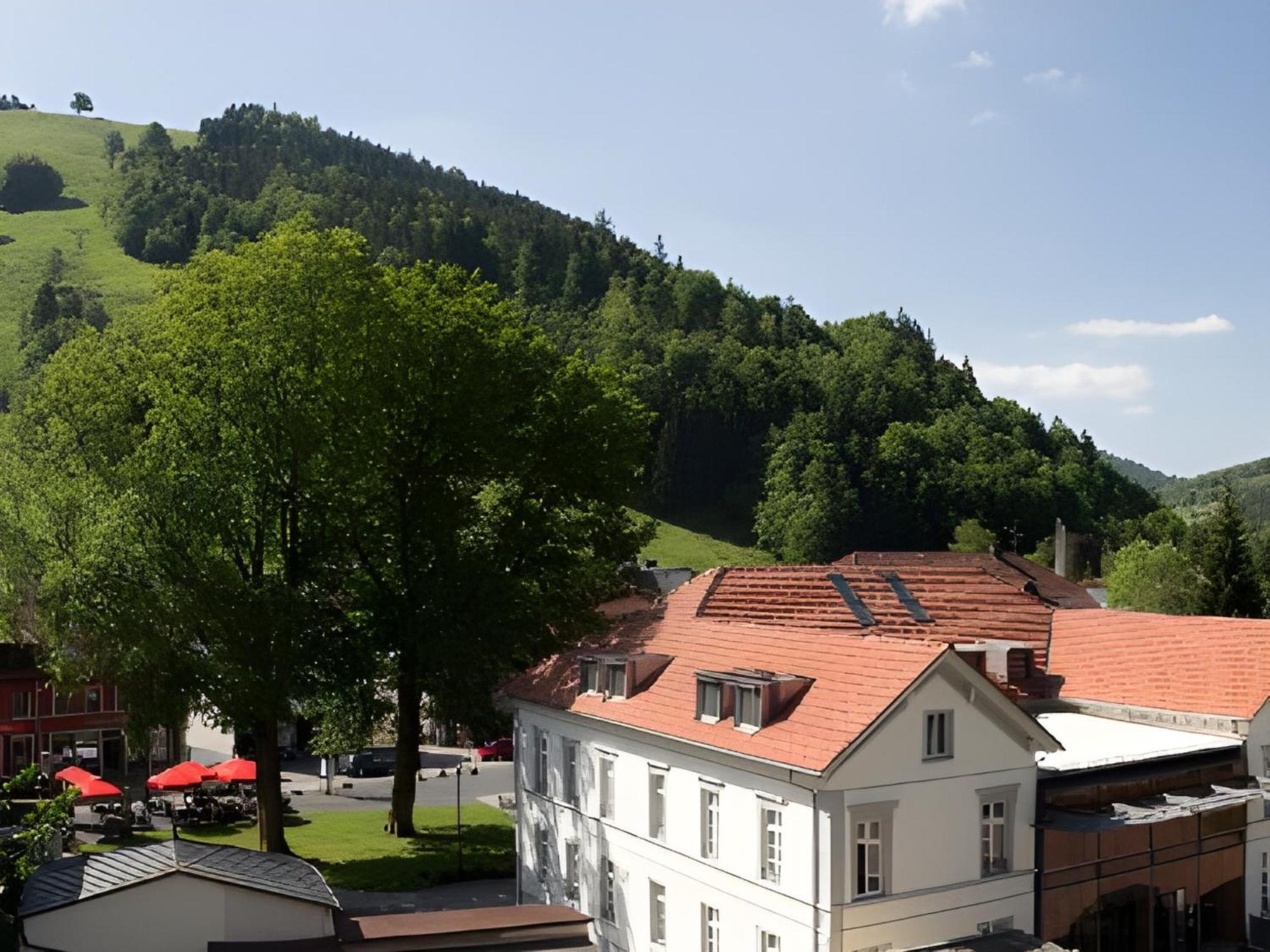 Ferienwohnung Dietsche Тодтнау Экстерьер фото